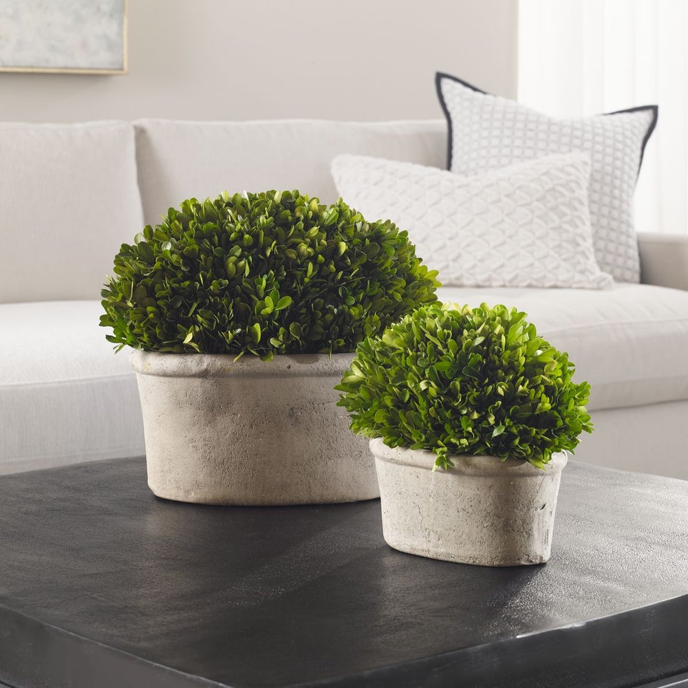 Uttermost Preserved Boxwood Oval Domes, Set Of Two Botanicals - Image 1