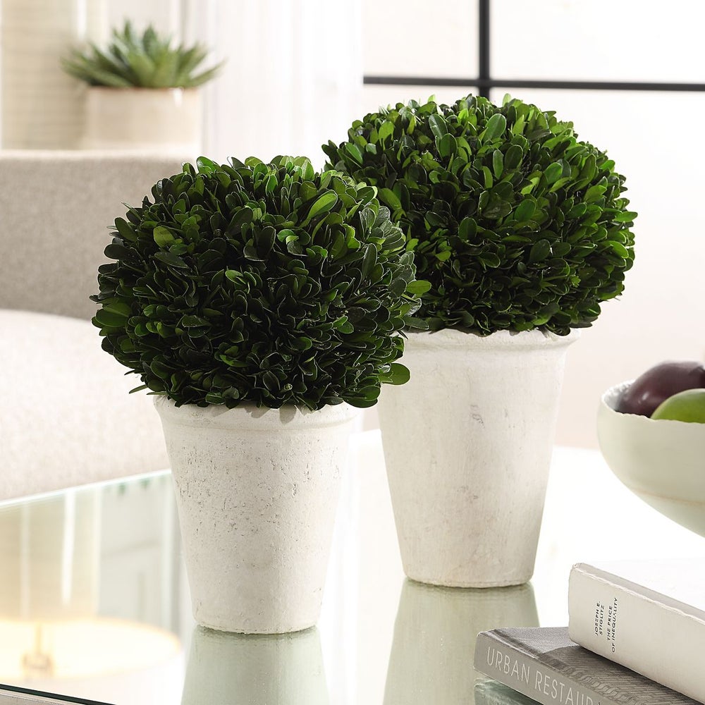 Uttermost Preserved Boxwood Domes, Set Of Two Botanicals - Image 2