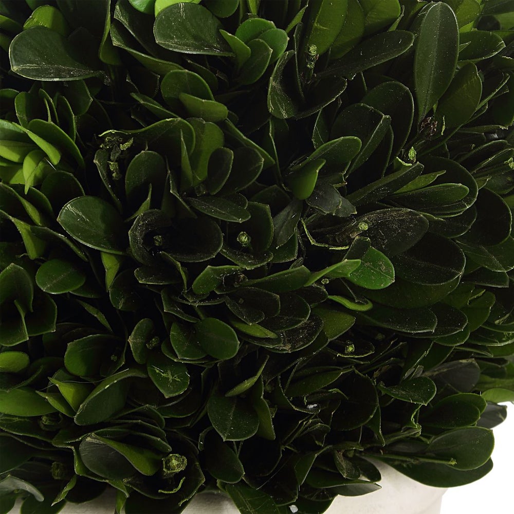 Uttermost Preserved Boxwood Domes, Set Of Two Botanicals - Image 3