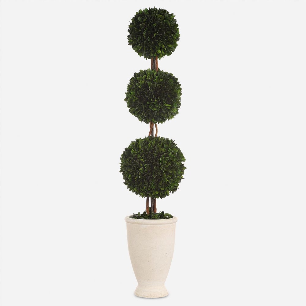 Uttermost Preserved Boxwood Triple Topiary Botanicals - Image 3
