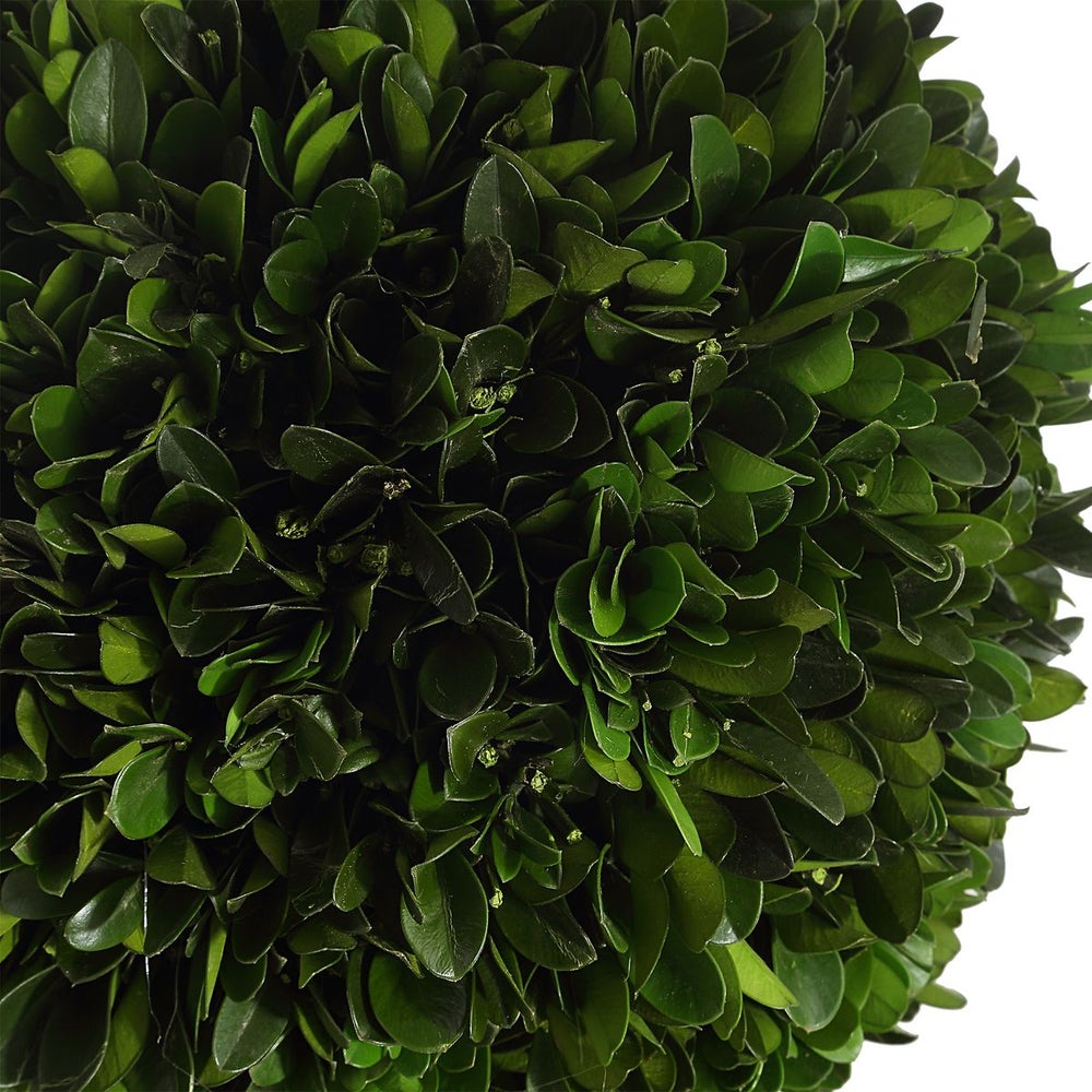 Uttermost Preserved Boxwood Triple Topiary Botanicals - Image 2