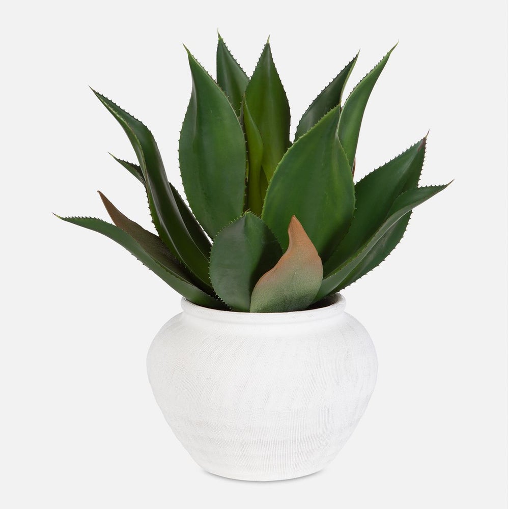 Uttermost Tierra Agave Centerpiece Botanicals - Image 1