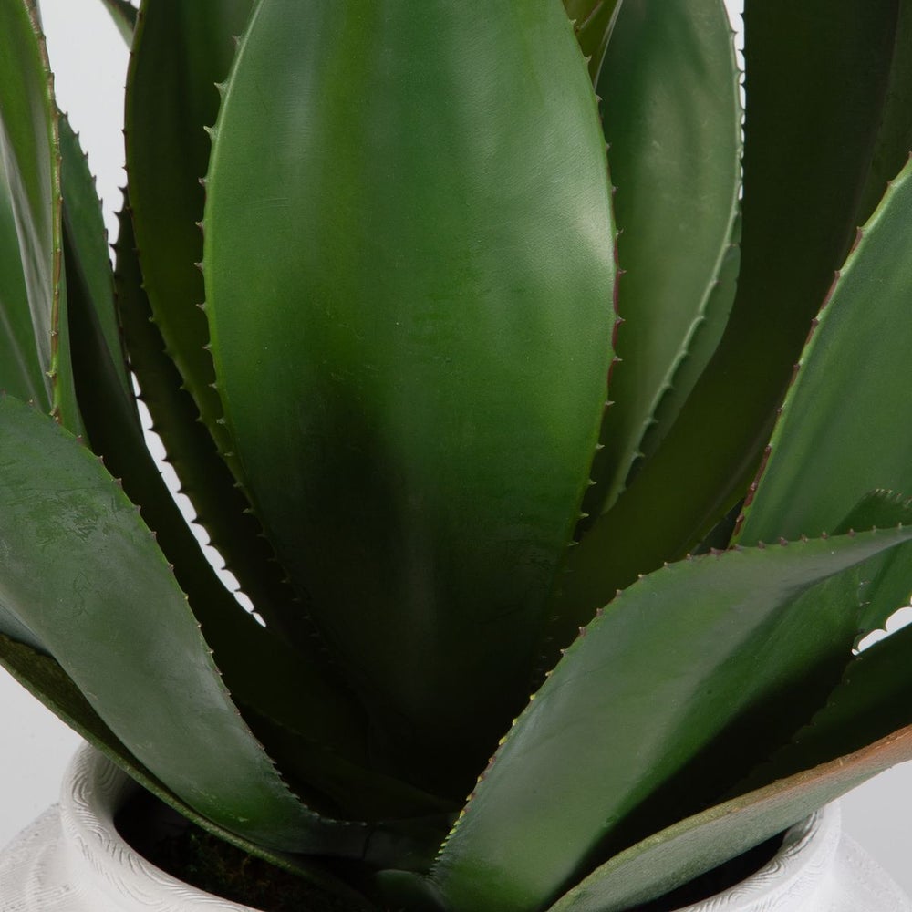 Uttermost Tierra Agave Centerpiece Botanicals - Image 3