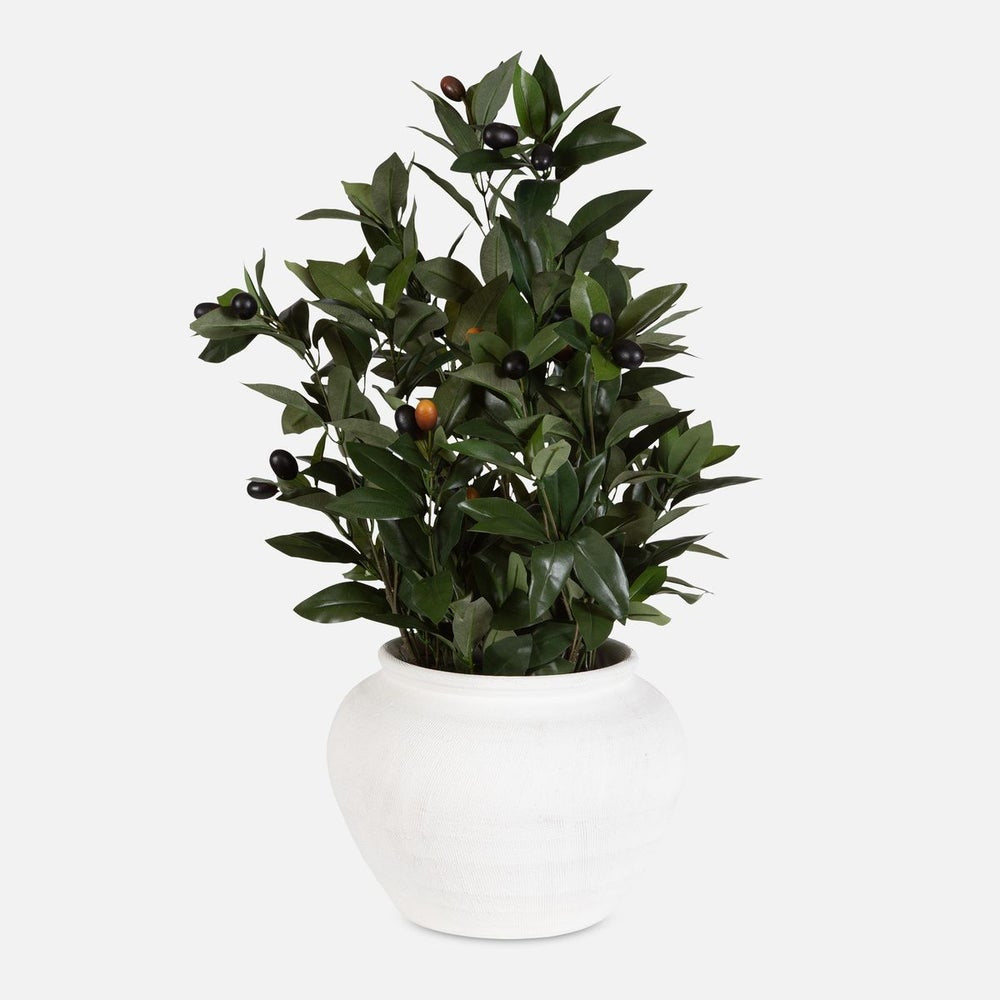 Uttermost Elena Olive Centerpiece Botanicals - Image 1