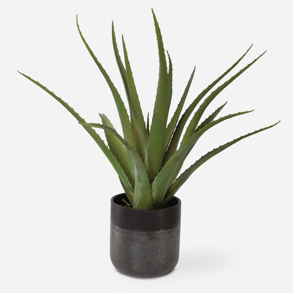 Uttermost Tucson Aloe Planter Botanicals - Image 1