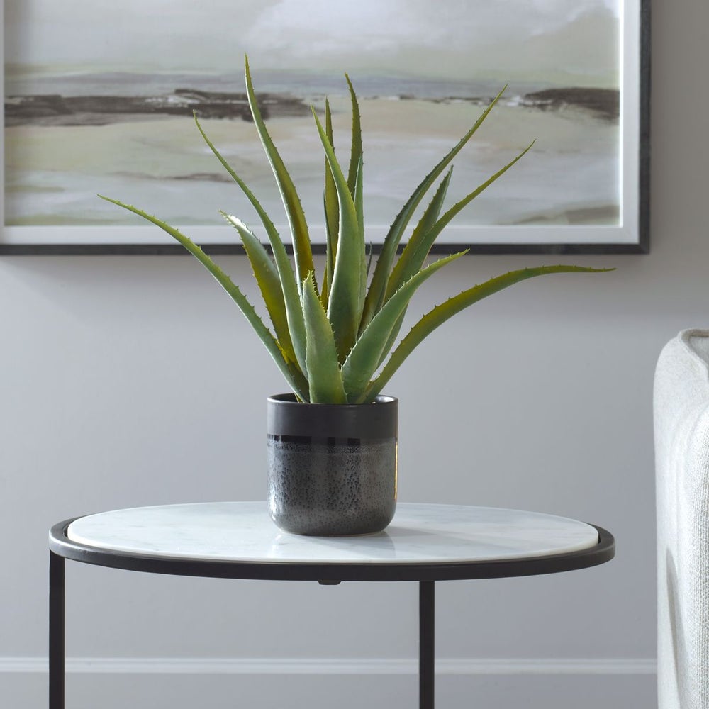 Uttermost Tucson Aloe Planter Botanicals - Image 2