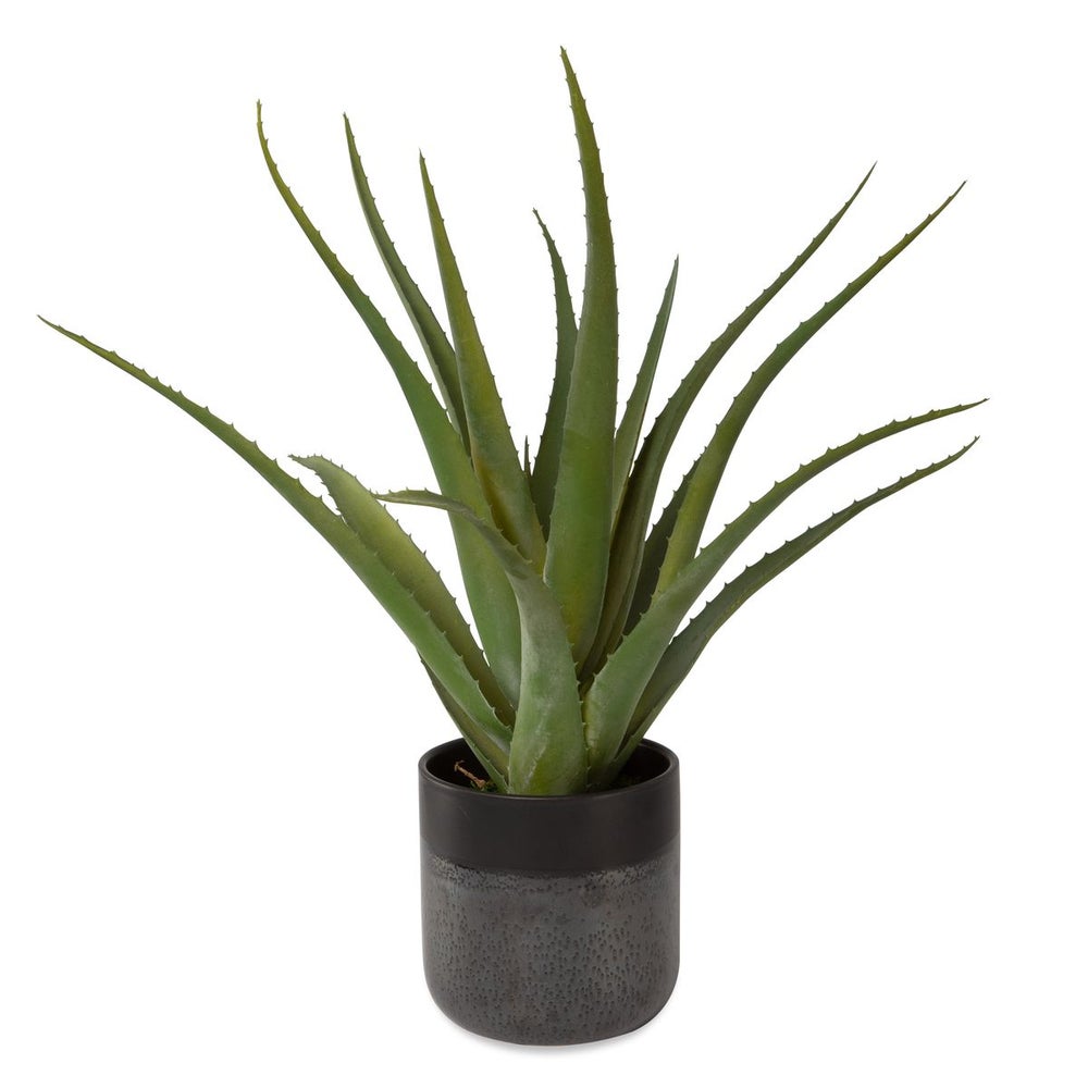 Uttermost Tucson Aloe Planter Botanicals - Image 3