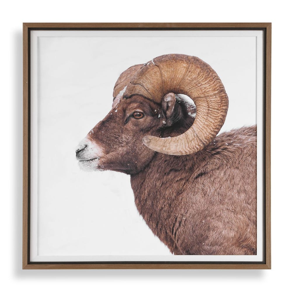 Uttermost Big Horn Framed Print - Image 3