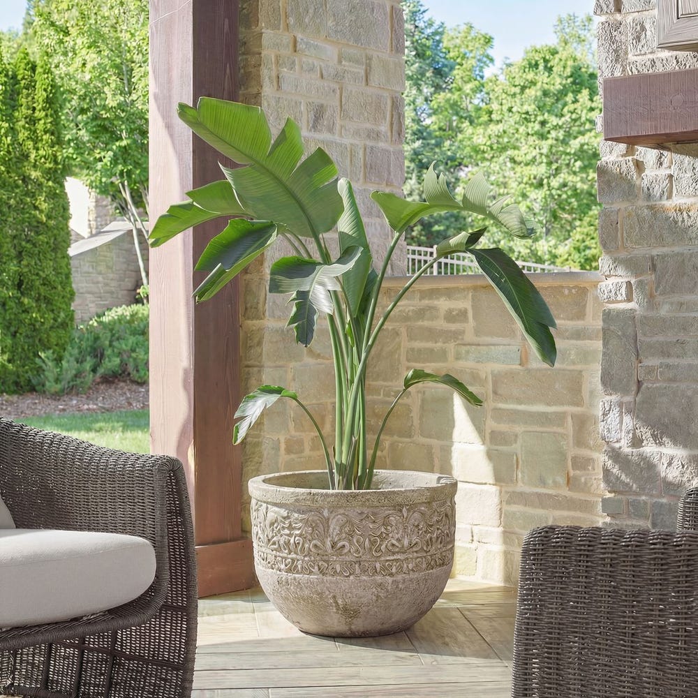 Uttermost Regalia Decorative Planter ~ Indoor & Outdoor Use - Image 1