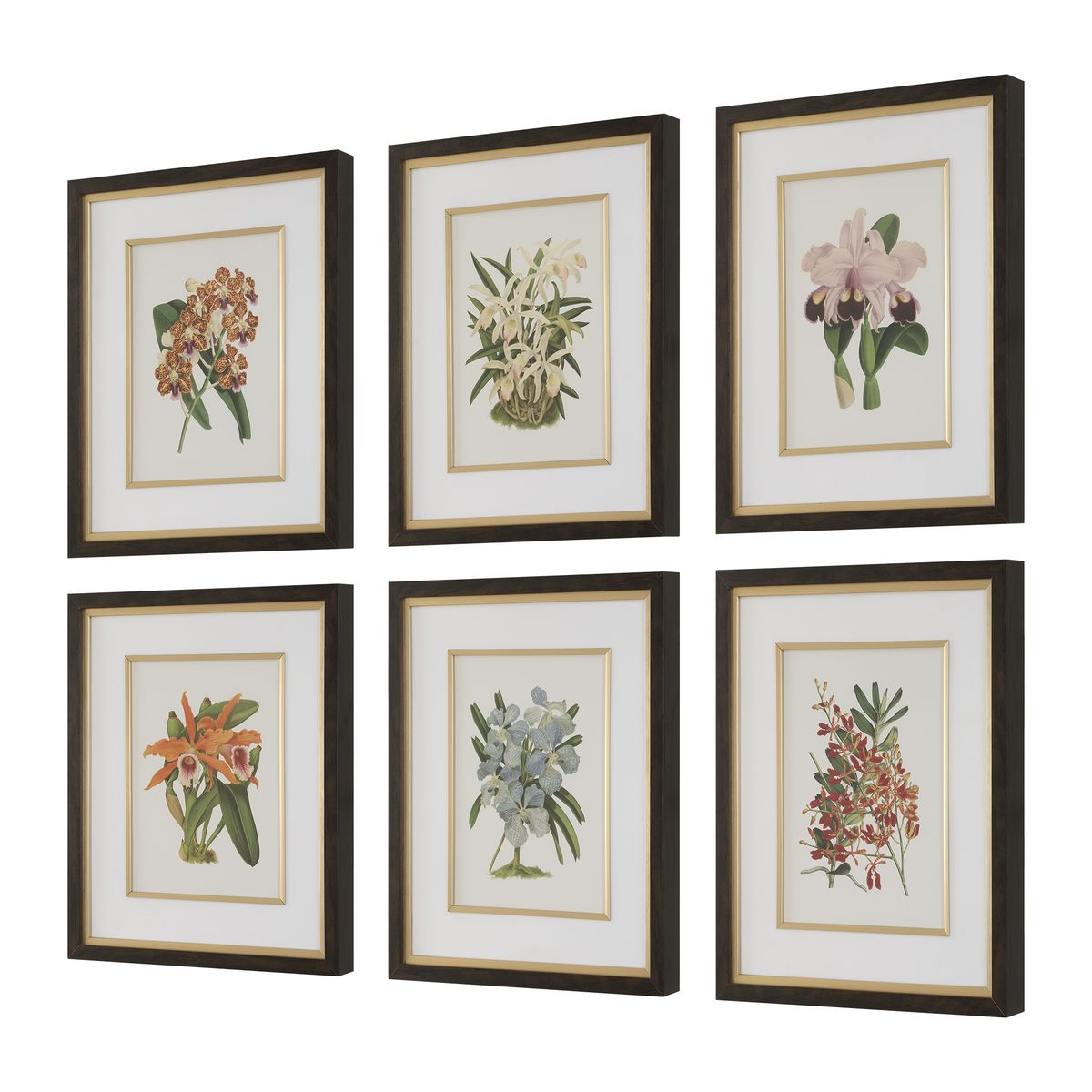 Uttermost Orchid Botanical Framed Prints ~ Set Of 6 - Image 3
