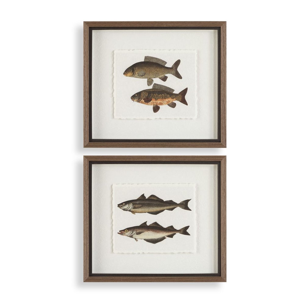 Uttermost The Catch Set of 2 Fish Framed Prints - Image 2
