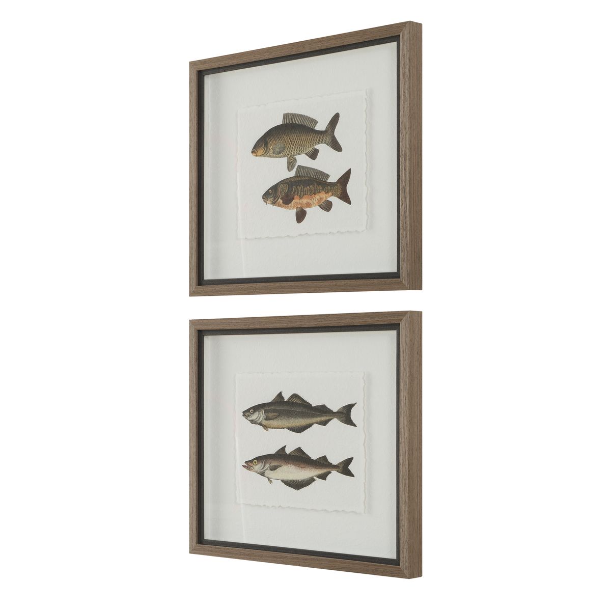 Uttermost The Catch Set of 2 Fish Framed Prints - Image 3