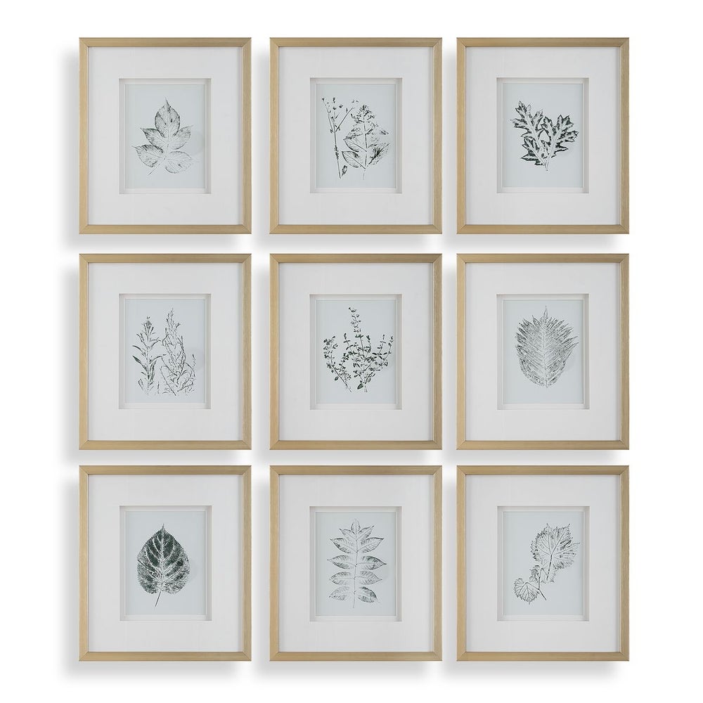 Uttermost Natures Script Framed Set of 9 Botanical Prints - Image 2