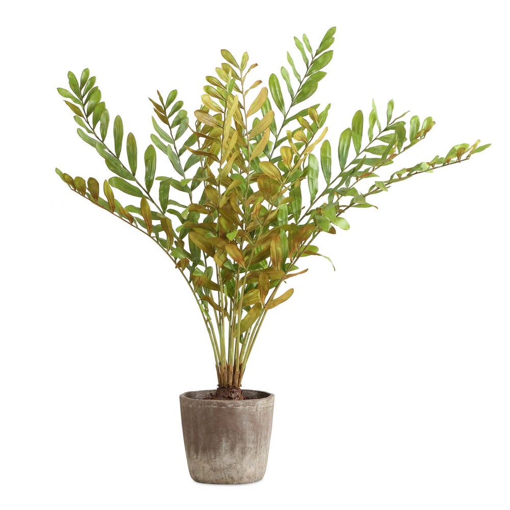 Uttermost Zamia Palm Tree With Rustic Concrete Pot - Image 3
