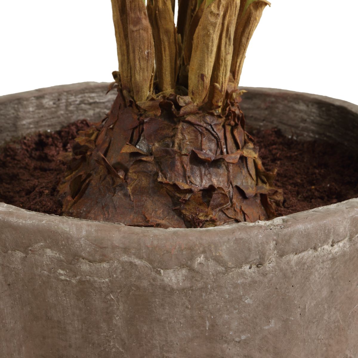 Uttermost Zamia Palm Tree With Rustic Concrete Pot - Image 2