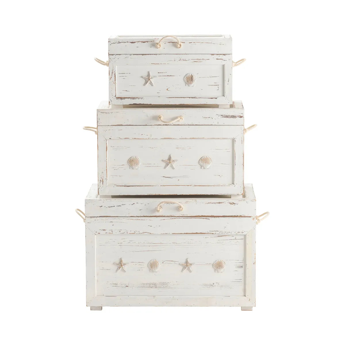 Crestview Collection Seaside White Shell Trunks