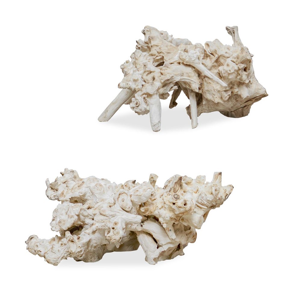 Uttermost Elemental Root Set of 2 Residi Wood Sculptures ~ Indoor and Outdoor Use - Image 1