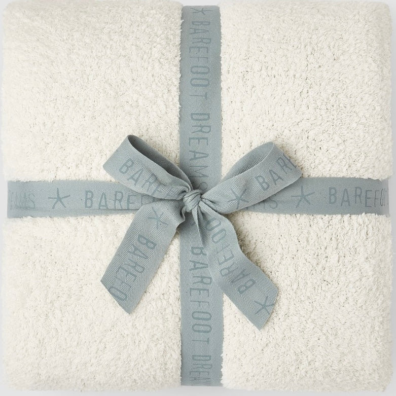 Barefoot Dreams CozyChic Cova Center Stripe Throw Blanket ~ Beach Glass - Image 1
