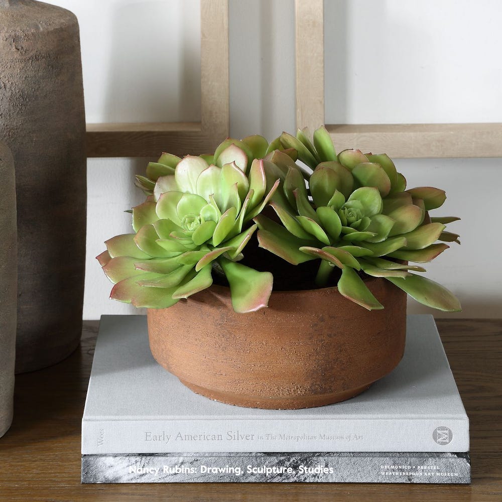 Uttermost Sable Succulent Accent In A Natural Terracotta Finish - Image 1
