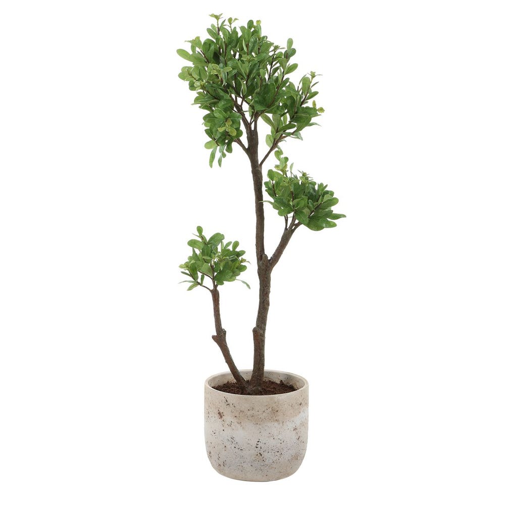 Uttermost Arbor Strawberry Tree In An Aged Ivory And Natural Texture Pot - Image 3