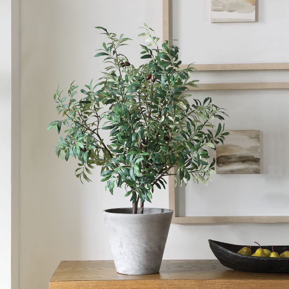 Uttermost Marisol Potted Olive In A Stone Gray Pot - Image 1