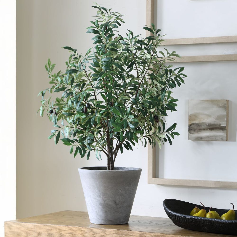 Uttermost Marisol Potted Olive In A Stone Gray Pot - Image 2