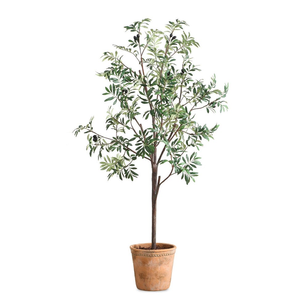 Uttermost Olea Life-Like Potted Olive Tree in Terracotta Finished Concrete Planter - Image 2
