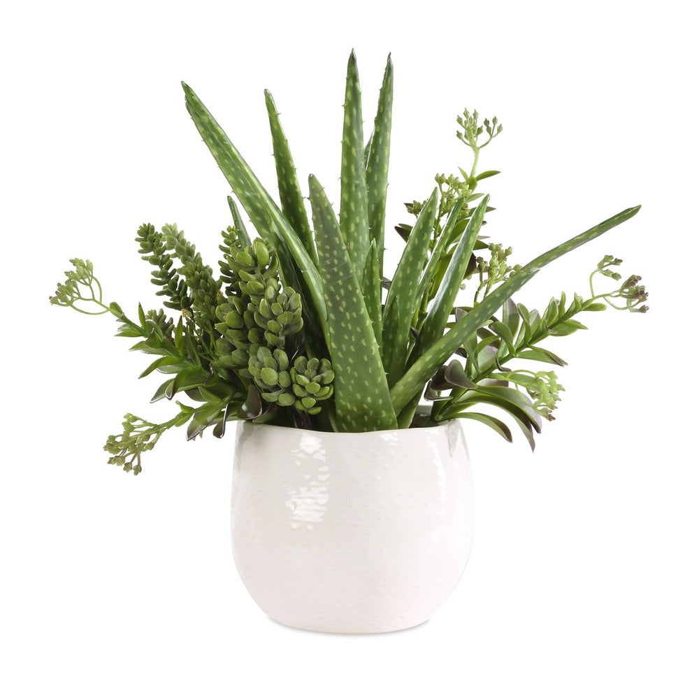Uttermost Sundown Textural Mix Of Succulents In White Ceramic Planter - Image 2