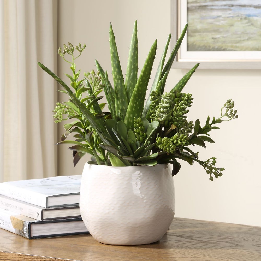Uttermost Sundown Textural Mix Of Succulents In White Ceramic Planter - Image 1
