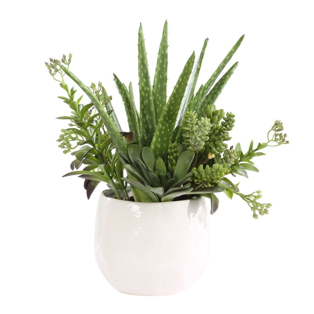 Uttermost Sundown Textural Mix Of Succulents In White Ceramic Planter - Image 3