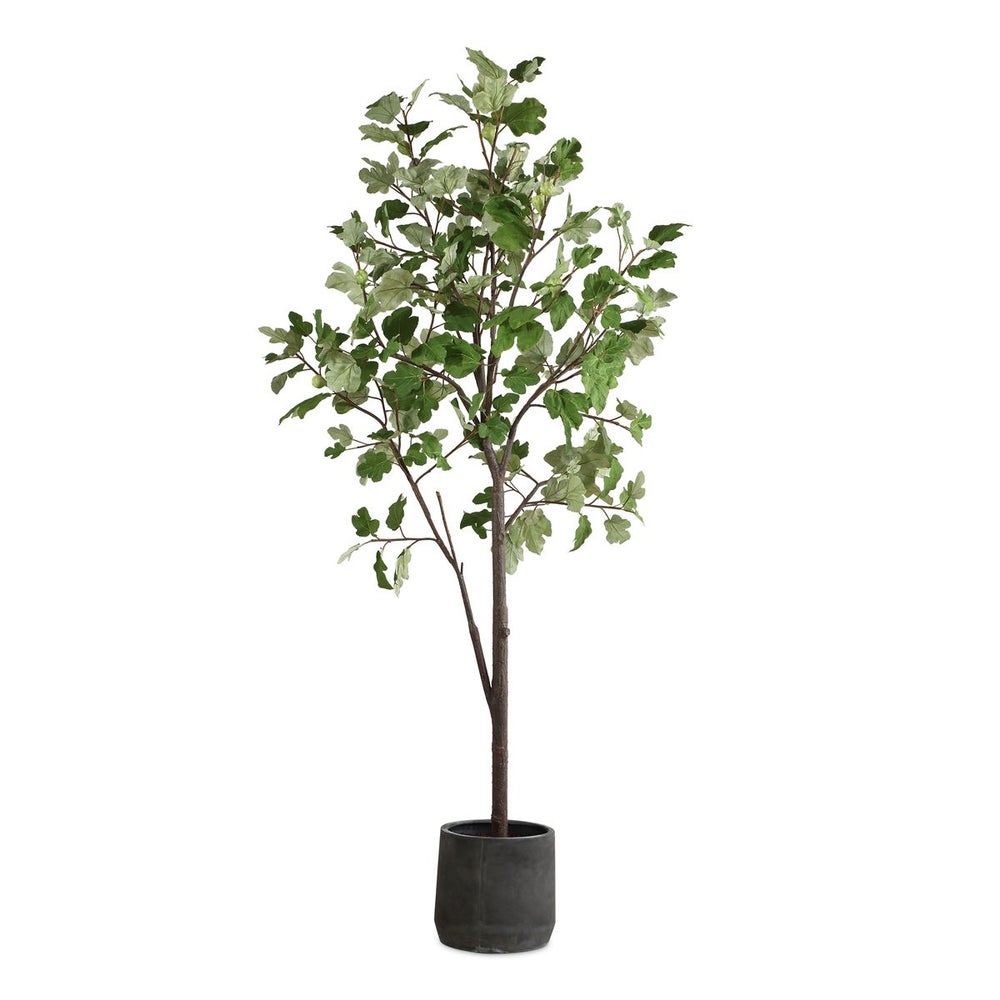 Uttermost Eden Fig Tree In Charcoal Black Concrete Pot - Image 2