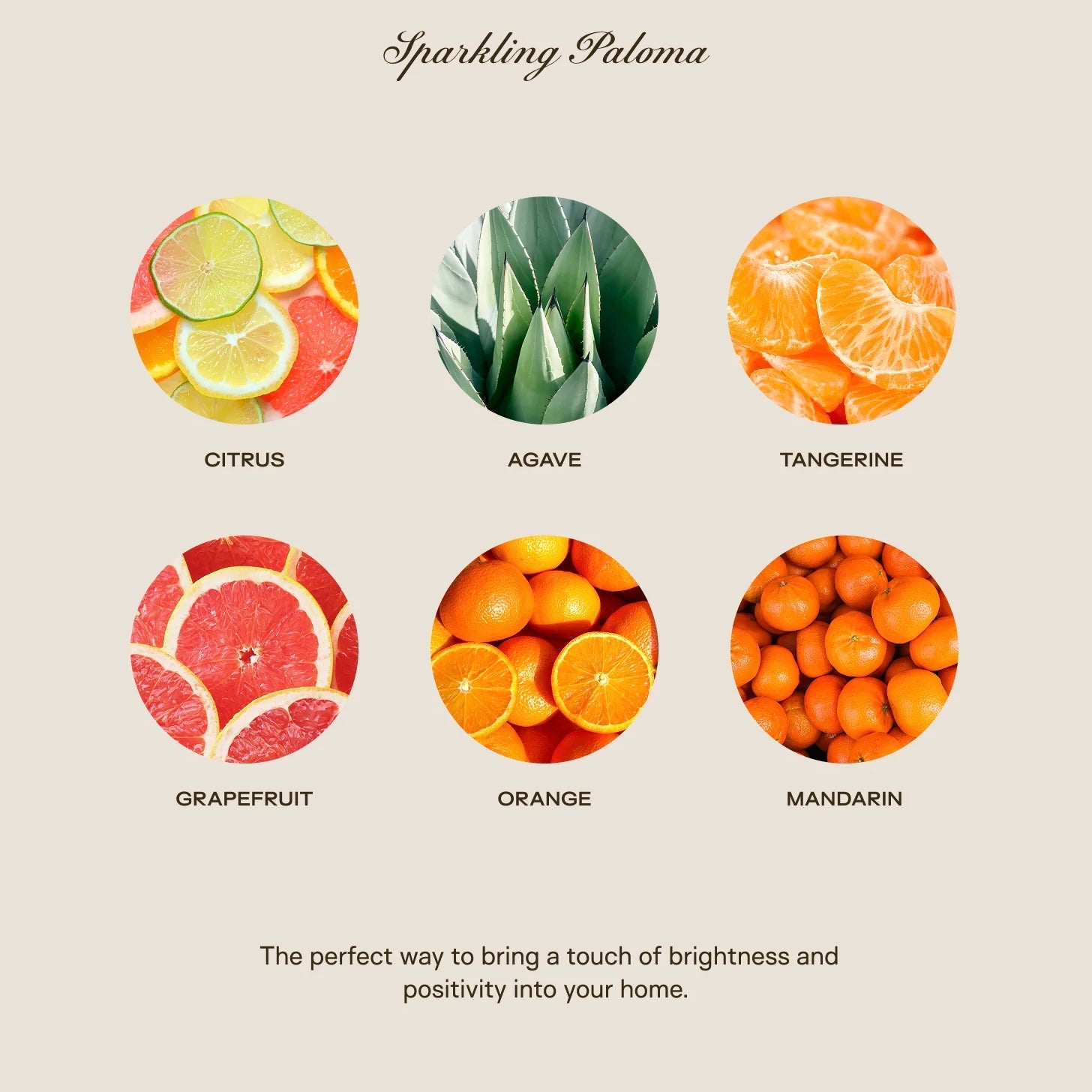 Big Ass Luxuries Sparkling Paloma Baby Big Ass Candle ~ 150 oz. ~ IN-STORE PURCHASE ONLY - Image 3