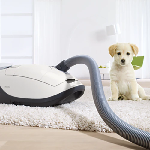 Miele Complete C3 Cat and Dog Vacuum - Image 2