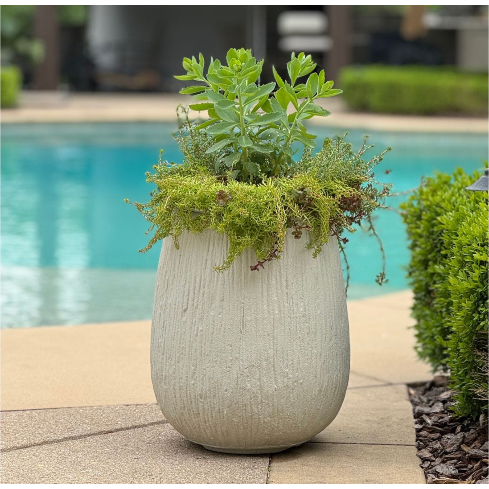 Uttermost Rustic Ridge Planter ~ Indoor and Outdoor Use - Image 1