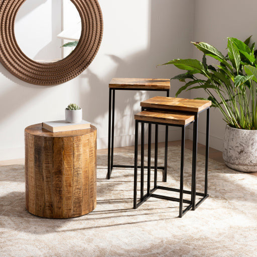 Surya Troyes Modern Natural Wood Top With Black Steel Base Set of 3 Nesting Accent Side Tables TOE-002 - Image 3