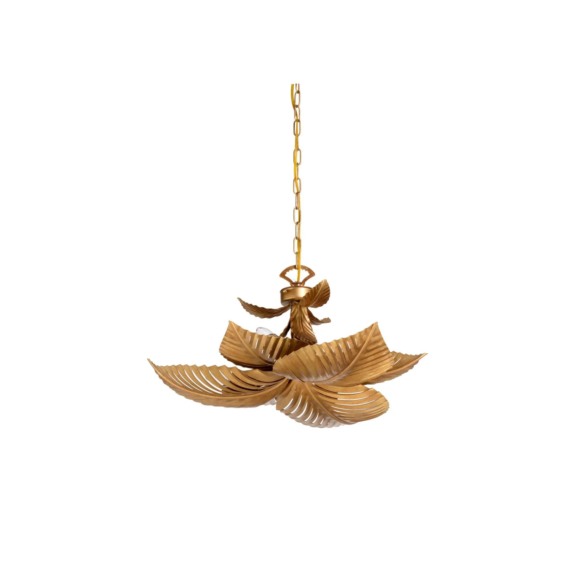 Wildwood Naples Palm 24 Inch 6 Light Chandelier Cp404891 - Image 1