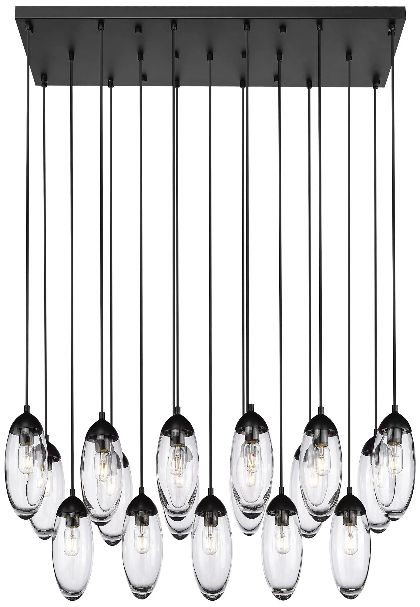 Arden by Z-Lite Matte Black 17 Light Linear Chandelier