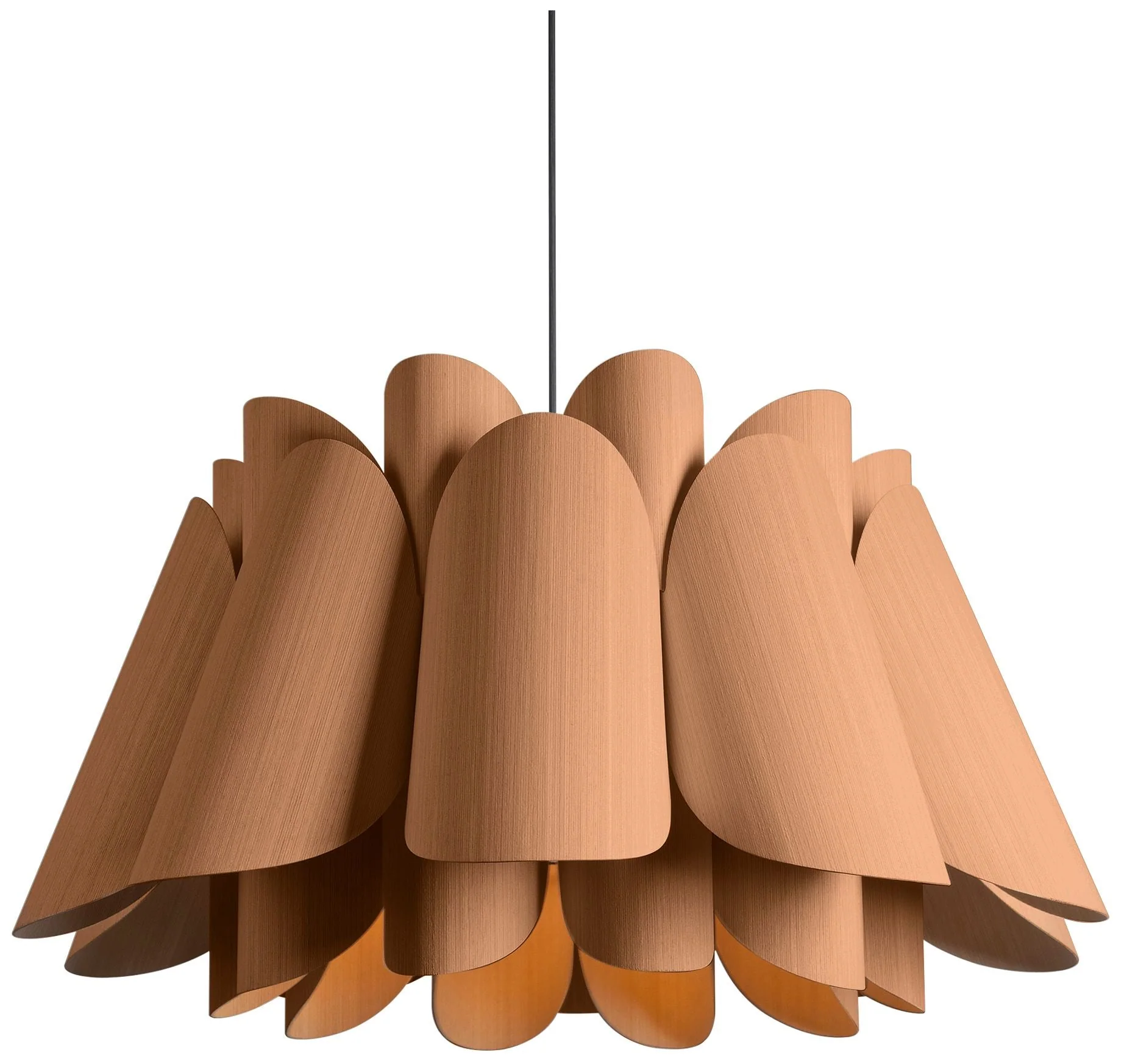 Federica Pendant WEP Light Collection - Black Finish - Petribi Shade - Image 1