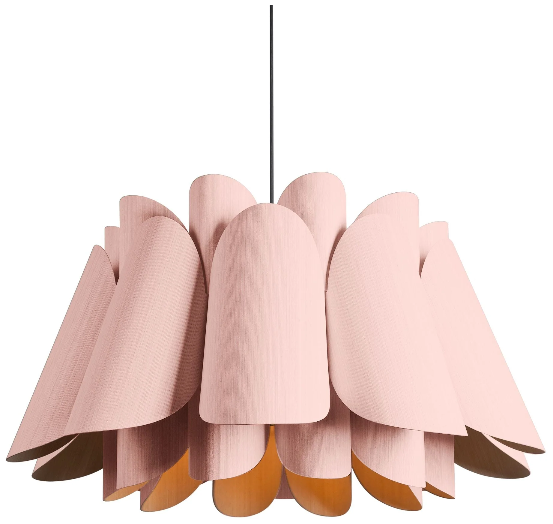 Federica Pendant WEP Light Collection - Black Finish - Rose Shade - Image 1