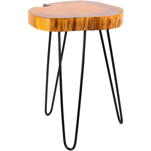 Surya Larissa Modern Natural Wood Top With Charcoal Gray Metal Base Accent Side Table LRI-002 - Image 2