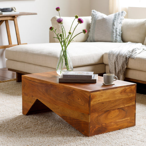 Surya Neemrana Modern Dark Brown Wood Coffee Table NEE-001 - Image 1