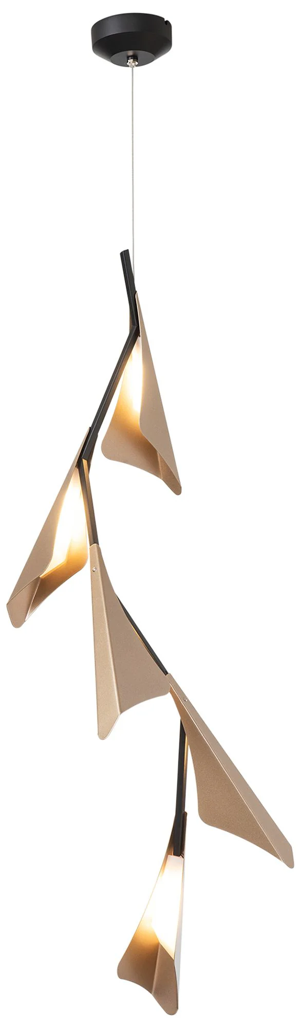 Plume 5-Light LED Pendant - Black Finish - Gold Accents - Standard Height - Image 1
