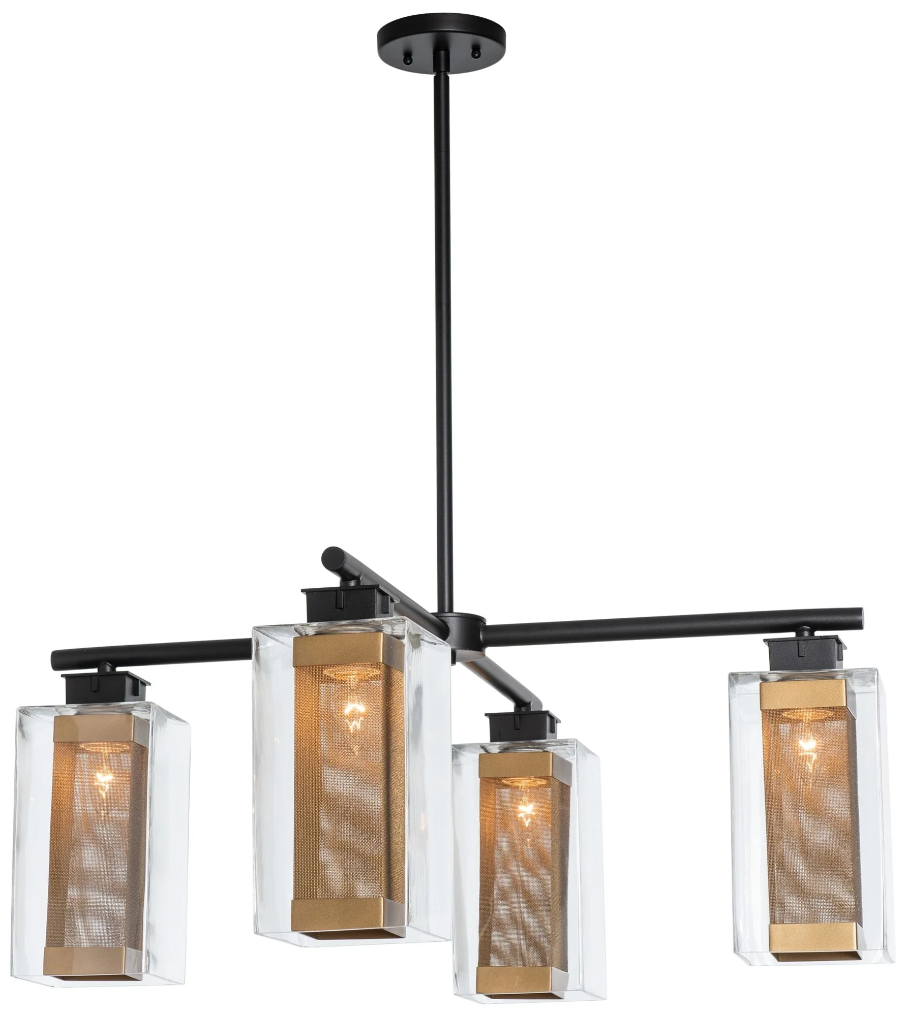 Polaris Outdoor 4-Light Pendant - Black Finish - Gold Accents - Clear Glass - Image 1