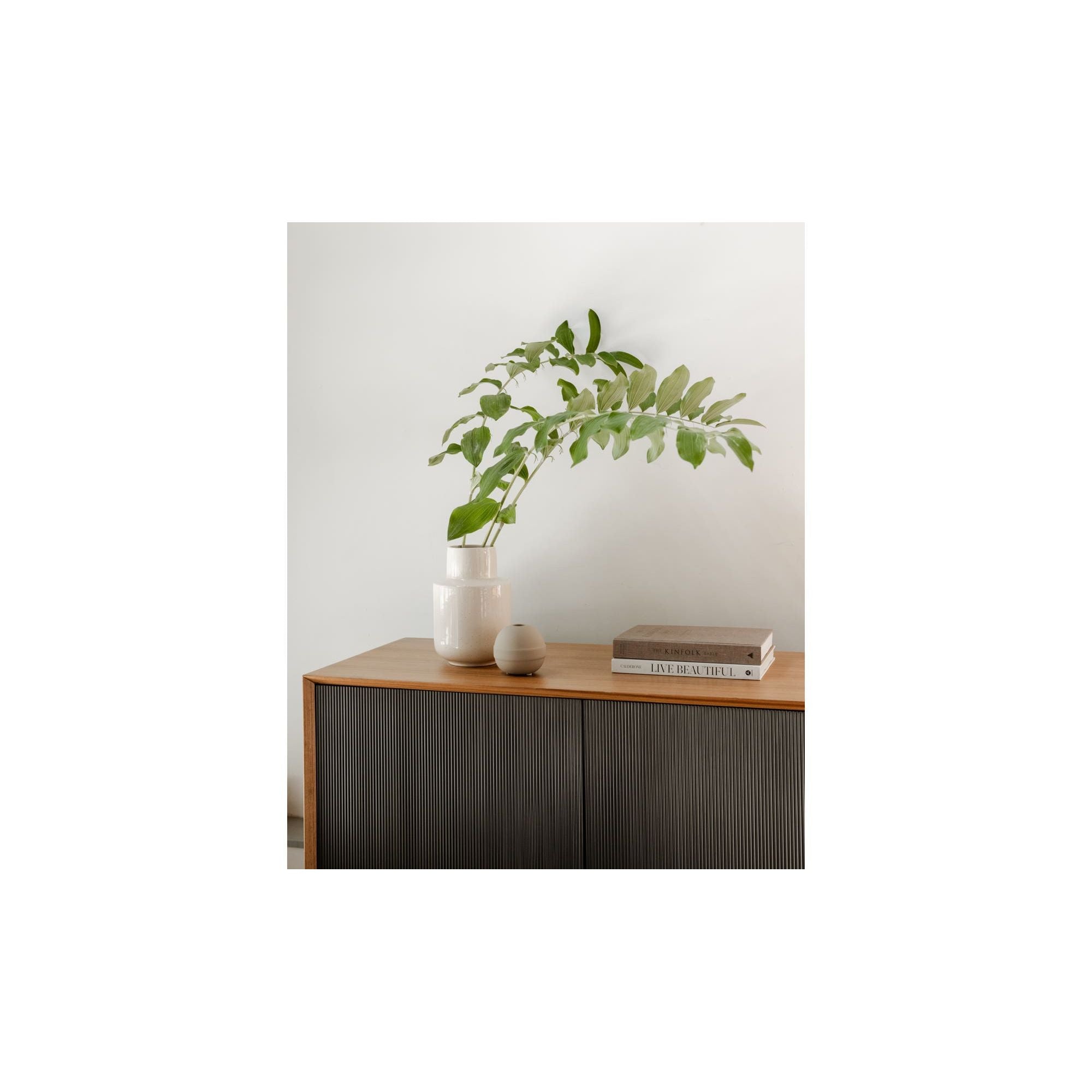 Moe's Home Araya Sideboard Brown - Image 2