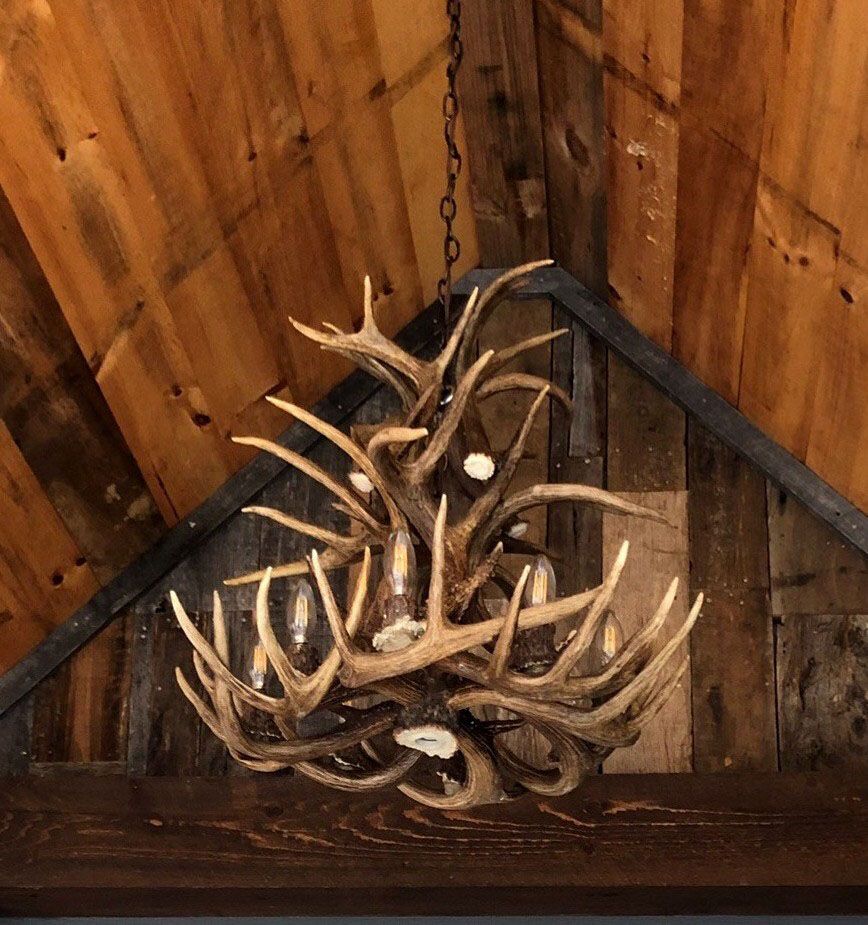 Real Antler 25" Wide Natural Brown 9-Light Chandelier - Image 3
