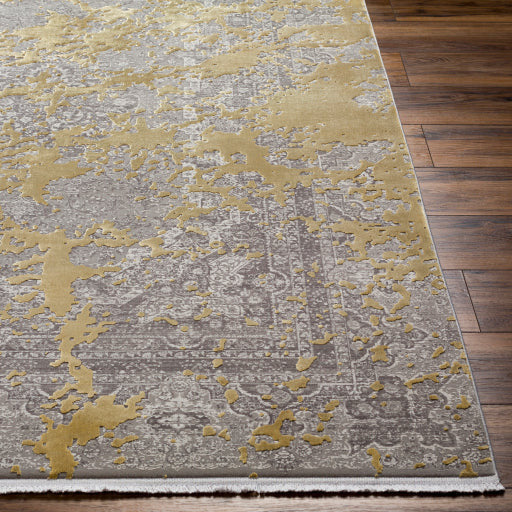 Surya Rugs Solar Collection Gray, Tan & Brown Area Rug SOR-2320 - Image 3