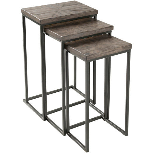 Surya Troyes Modern Gray Wood Top With Black Metal Base Set of 3 Nesting Accent Side Tables TOE-001 - Image 1