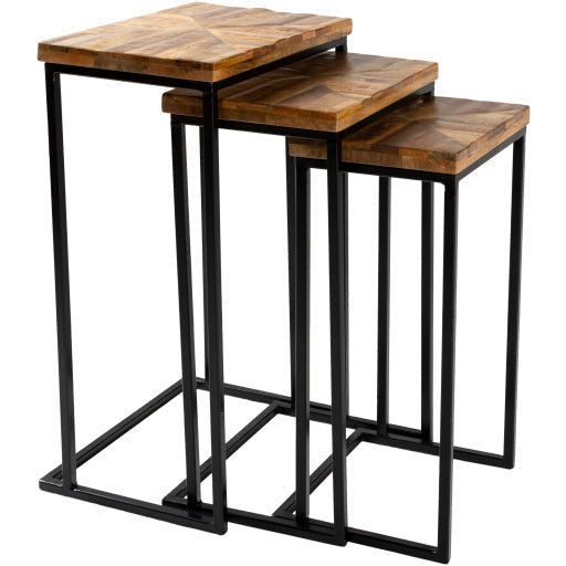 Surya Troyes Modern Natural Wood Top With Black Steel Base Set of 3 Nesting Accent Side Tables TOE-002 - Image 2