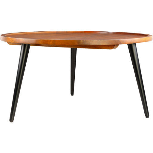 Surya Saraswati Modern Brown Wood Top With Black Metal Base Round Coffee Table WTI-002 - Image 3